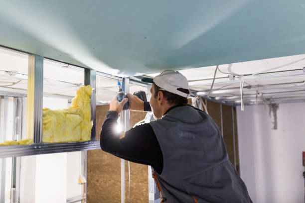 Types of Insulation We Offer in Brentwood, MD