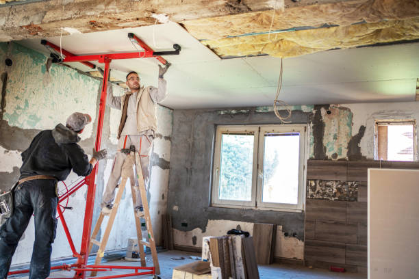 Best Residential Insulation in Brentwood, MD